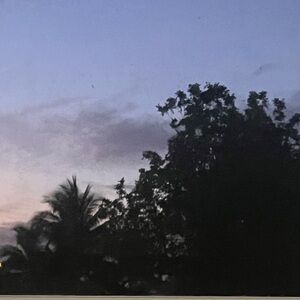 Meet your Posher, Regina